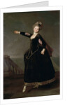 Portrait of Natalia Semenovna Borshcheva, 1776 by Dmitri Grigorievich Levitsky