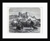 Celts in their chieftains service, 1882 by Anonymous