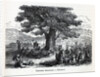 Teutons Enjoying A Holiday, 1882 by Anonymous