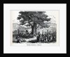 Teutons Enjoying A Holiday, 1882 by Anonymous