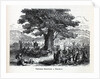 Teutons Enjoying A Holiday, 1882 by Anonymous