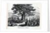 Teutons Enjoying A Holiday, 1882 by Anonymous