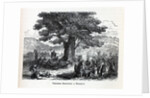 Teutons Enjoying A Holiday, 1882 by Anonymous