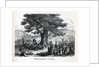 Teutons Enjoying A Holiday, 1882 by Anonymous