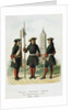 Dress uniforms of the Preobrazhensky Regiment in 1695-1700, 1901-1904 by Adolf Charlemagne