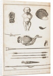Illustration from A Voyage Round the World In the Years 1803-06, in the Ship Neva, 1814 by Yuri Fyodorovich Lisyansky