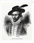 Sir Walter Raleigh, 1882 by Anonymous