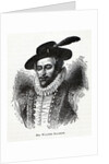 Sir Walter Raleigh, 1882 by Anonymous