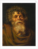 Head of an Old Man. Study for The Crown of Thorns (Ecce Homo), c. 1612 by Pieter Paul Rubens