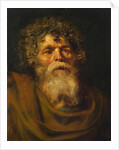 Head of an Old Man. Study for The Crown of Thorns (Ecce Homo), c. 1612 by Pieter Paul Rubens