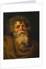 Head of an Old Man. Study for The Crown of Thorns (Ecce Homo), c. 1612 by Pieter Paul Rubens