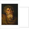 Head of an Old Man. Study for The Crown of Thorns (Ecce Homo), c. 1612 by Pieter Paul Rubens