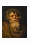 Head of an Old Man. Study for The Crown of Thorns (Ecce Homo), c. 1612 by Pieter Paul Rubens