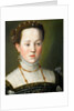 Archduchess Anna of Austria, Queen of Spain, ca 1563 by Giuseppe Arcimboldo