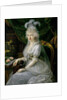 Princess Luisa Maria of Naples and Sicily, 1797 by Joseph Dorffmeister