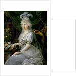 Princess Luisa Maria of Naples and Sicily, 1797 by Joseph Dorffmeister