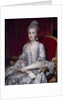 Portrait of Infanta Maria Luisa of Spain, Holy Roman Empress, 1770 by Anton Raphael Mengs