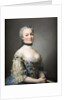 Portrait of Katarzyna Mniszech, née Zamoyska, 1753 by Alexander Roslin