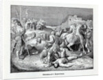 Grumbachs Execution, 1882 by Anonymous