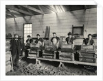 Dynamite mixing, Ardrossan, 1897 by Anonymous