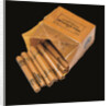 The Nobels Extradynamit by Historic Object