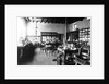 Laboratorium of Alfred Nobel at his Villa in Sanremo, 1890s by Anonymous