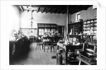 Laboratorium of Alfred Nobel at his Villa in Sanremo, 1890s by Anonymous