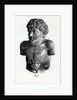 Aesop, 1882 by Anonymous