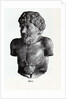 Aesop, 1882 by Anonymous