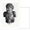 Aesop, 1882 by Anonymous