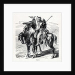 Gauls, 1882 by Anonymous
