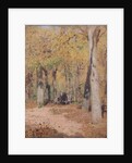 Autumn Musings, 1883 by Isaak Ilyich Levitan
