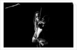 Regina Carter by Brian O'Connor