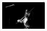 Regina Carter by Brian O'Connor
