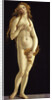 Venus, 1490 by Anonymous
