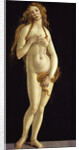 Venus, 1490 by Anonymous