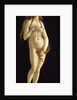 Venus, 1490 by Anonymous