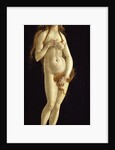 Venus, 1490 by Anonymous