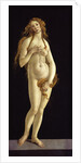 Venus, 1490 by Anonymous