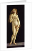 Venus, 1490 by Anonymous