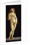 Venus, 1490 by Anonymous