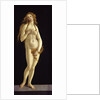 Venus, 1490 by Anonymous