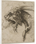 Head of a Chimera by Anonymous