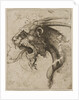 Head of a Chimera by Anonymous
