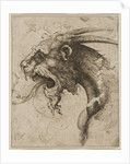 Head of a Chimera by Anonymous