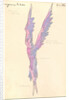 Costume design for the opera Snow Maiden by N, Rimsky-Korsakov, 1928 by Anonymous