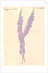 Costume design for the opera Snow Maiden by N, Rimsky-Korsakov, 1928 by Anonymous