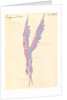 Costume design for the opera Snow Maiden by N, Rimsky-Korsakov, 1928 by Anonymous