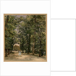Avenue in the Schönbrunn palace park, ca 1871-1874 by Anonymous