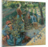 Apple Picking, 1886 by Anonymous